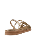 66632-3_clipped_rev_1.png