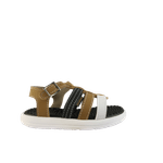 66586-2_clipped_rev_1.png