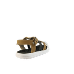 66586-3_clipped_rev_1.png