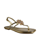 69159-1_clipped_rev_1.png