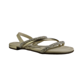 66725-1_clipped_rev_1.png