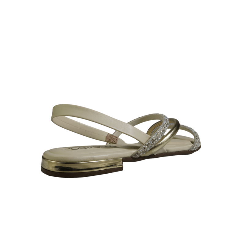 66725-3_clipped_rev_1.png