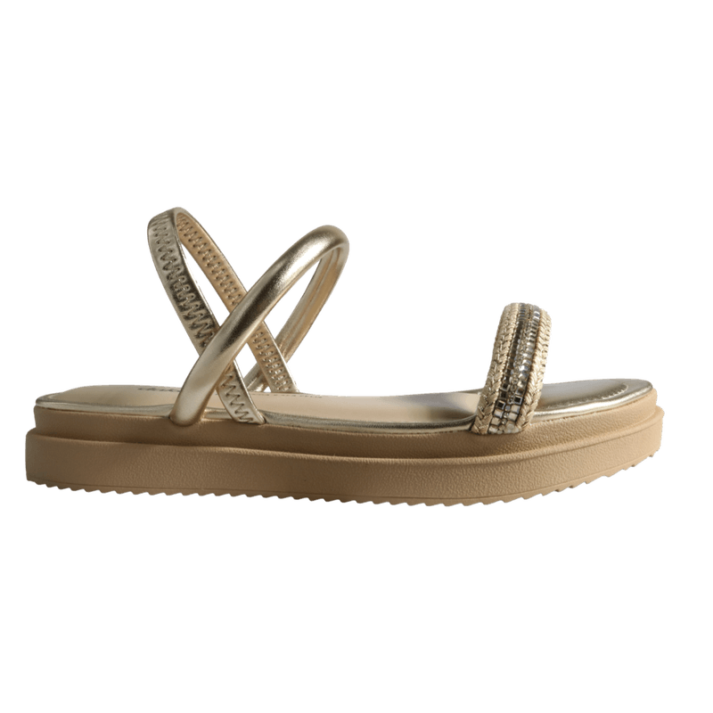 68574-2_clipped_rev_1.png