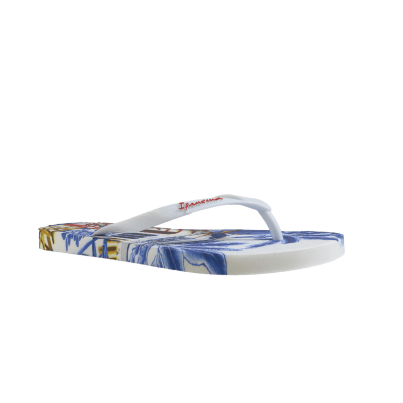68246-1_clipped_rev_1.png