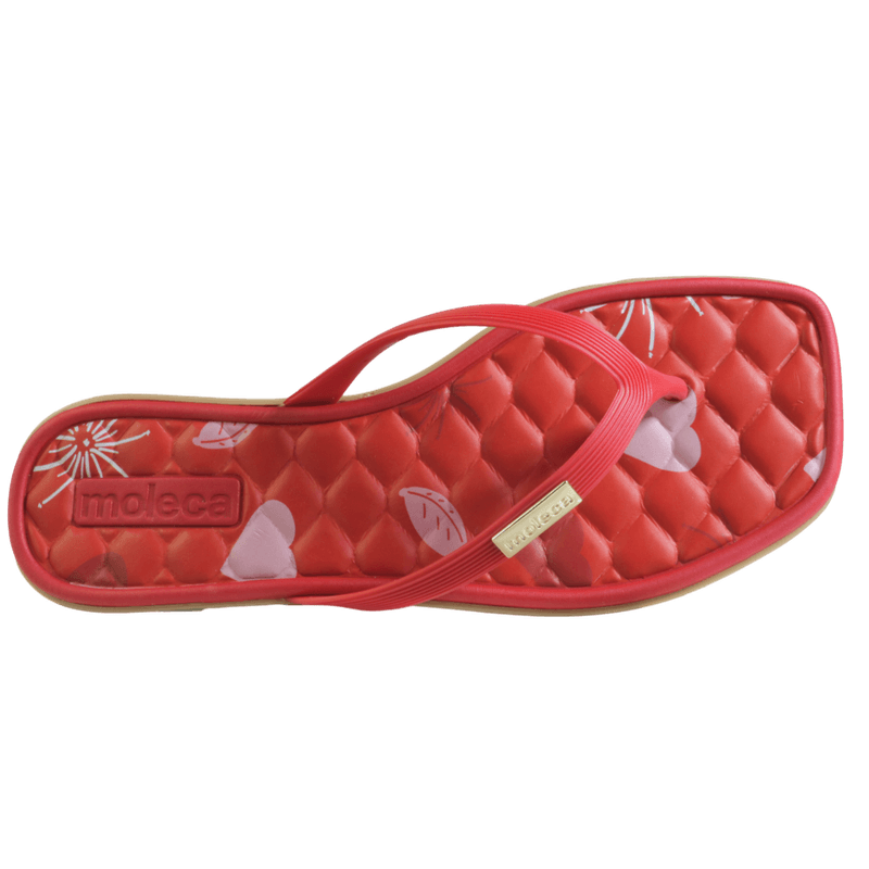69534-2_clipped_rev_1.png