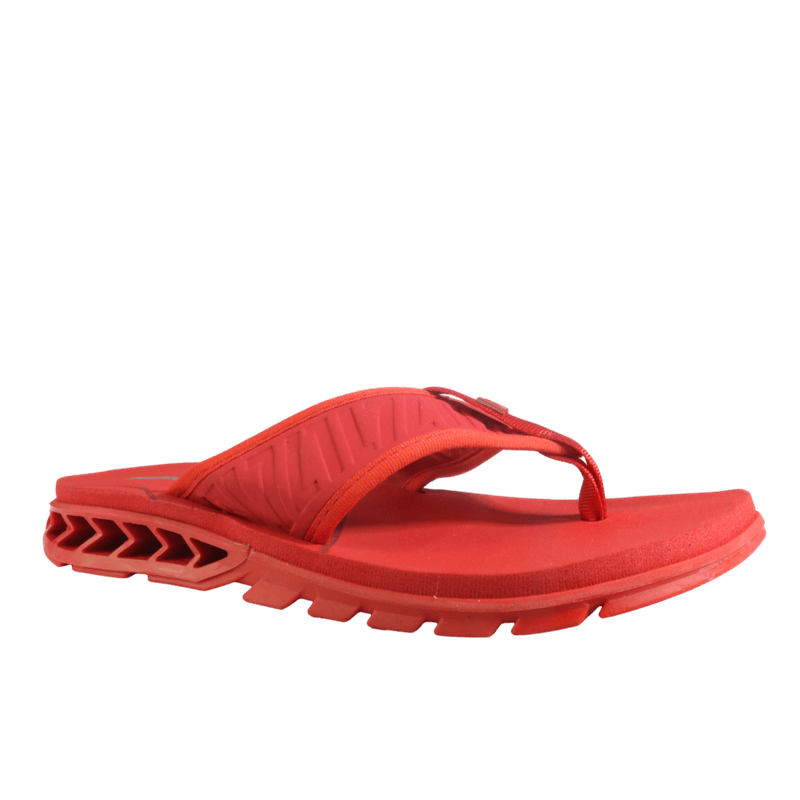 67461-1_clipped_rev_1.png