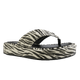 68665-1_clipped_rev_1.png