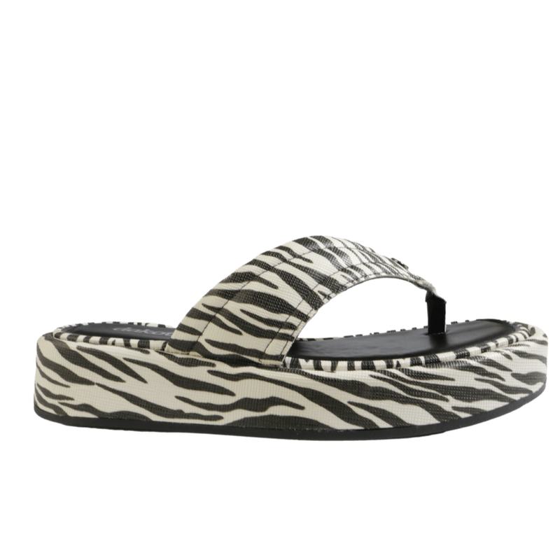 68665-2_clipped_rev_1.png