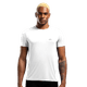 67347-1.png