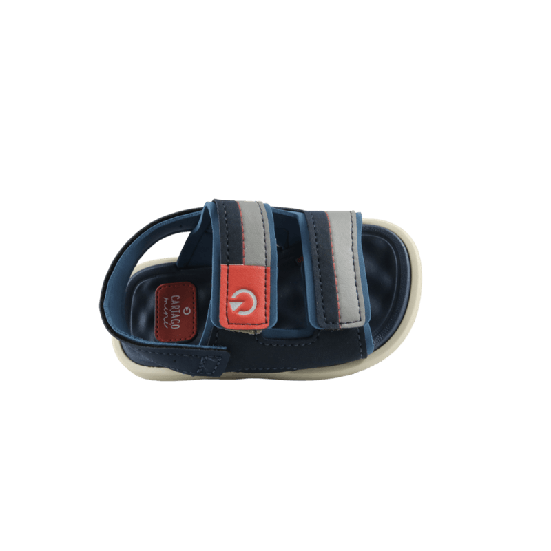 67796-2_clipped_rev_1.png