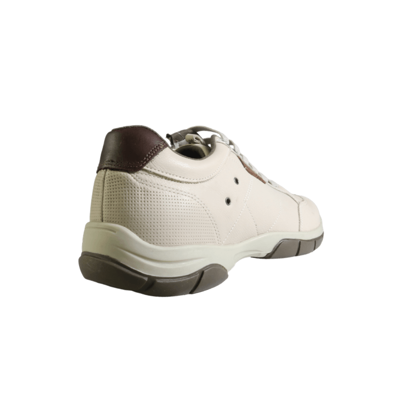 66438-3_clipped_rev_1.png