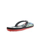 69675-3_clipped_rev_1.png
