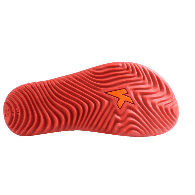 69675-5_clipped_rev_1.png