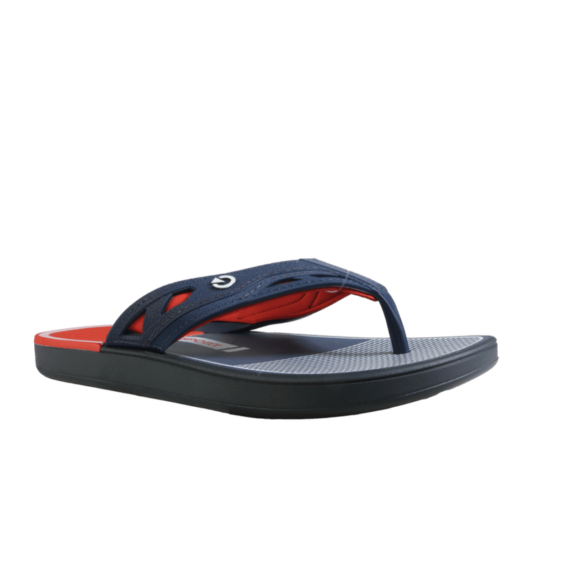 69230-1_clipped_rev_1.png