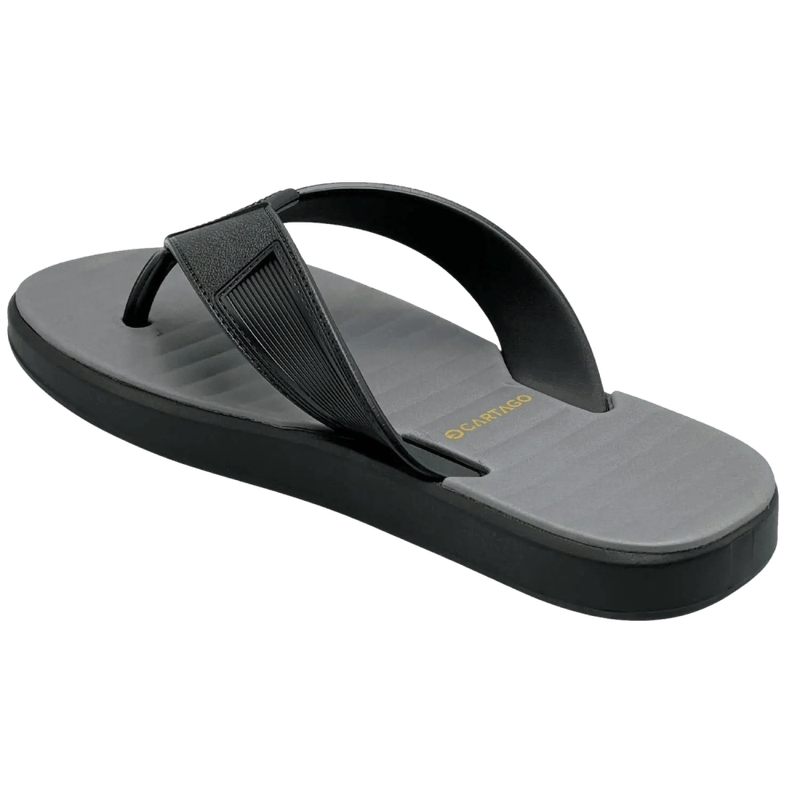 69670-3_clipped_rev_1.png