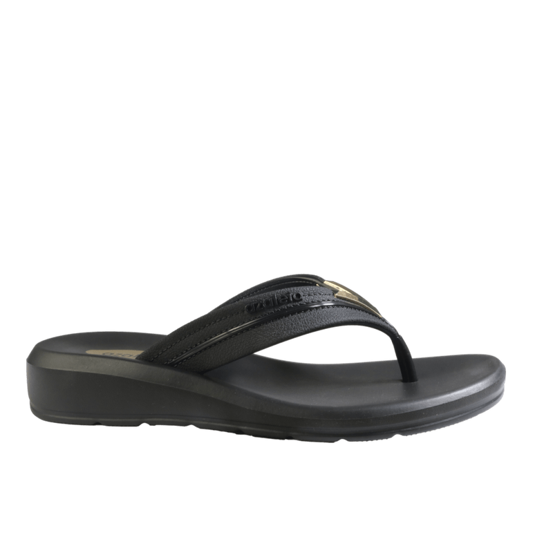 70096-2_clipped_rev_1.png