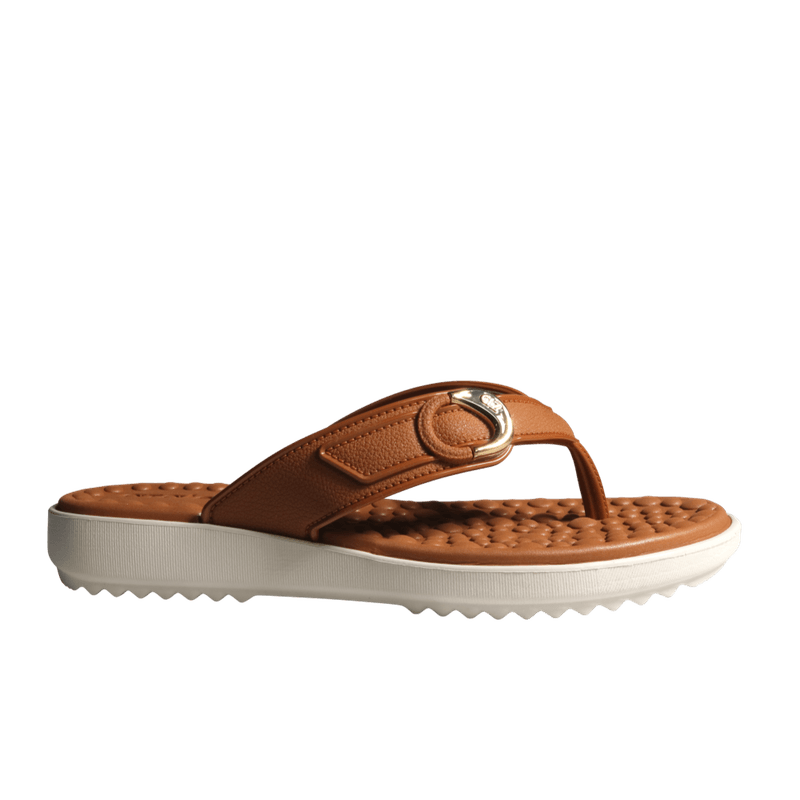 70161-2_clipped_rev_1.png