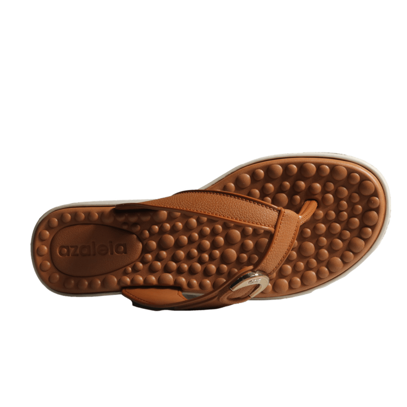70161-3_clipped_rev_1.png