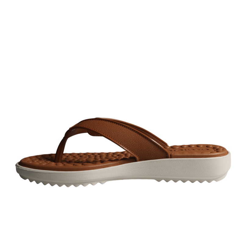 70161-5_clipped_rev_1.png