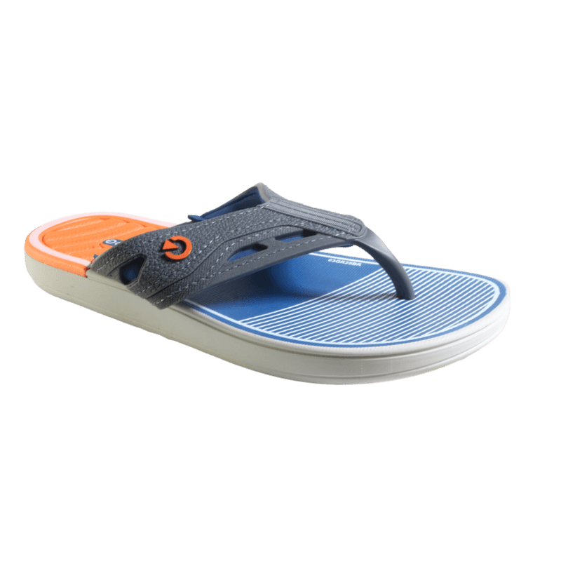 69276-1_clipped_rev_1.png
