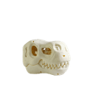 70123-5_clipped_rev_1.png
