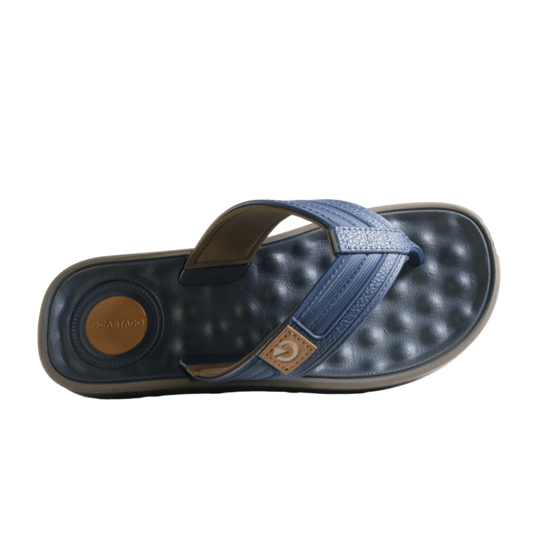 70007-2_clipped_rev_1.png