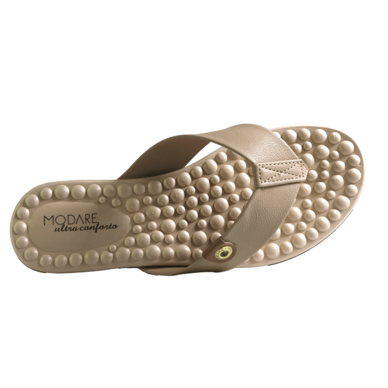 51069-4_clipped_rev_1.png