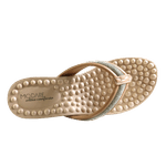 69995-2_clipped_rev_1.png