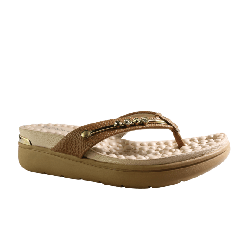 70934-1_clipped_rev_1.png