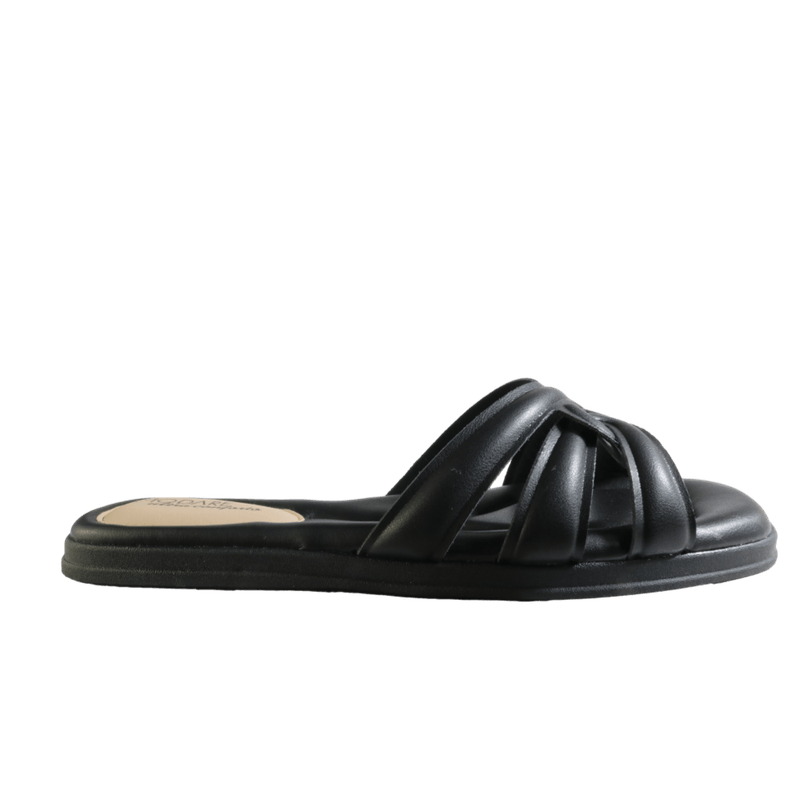 69893-3_clipped_rev_1.png