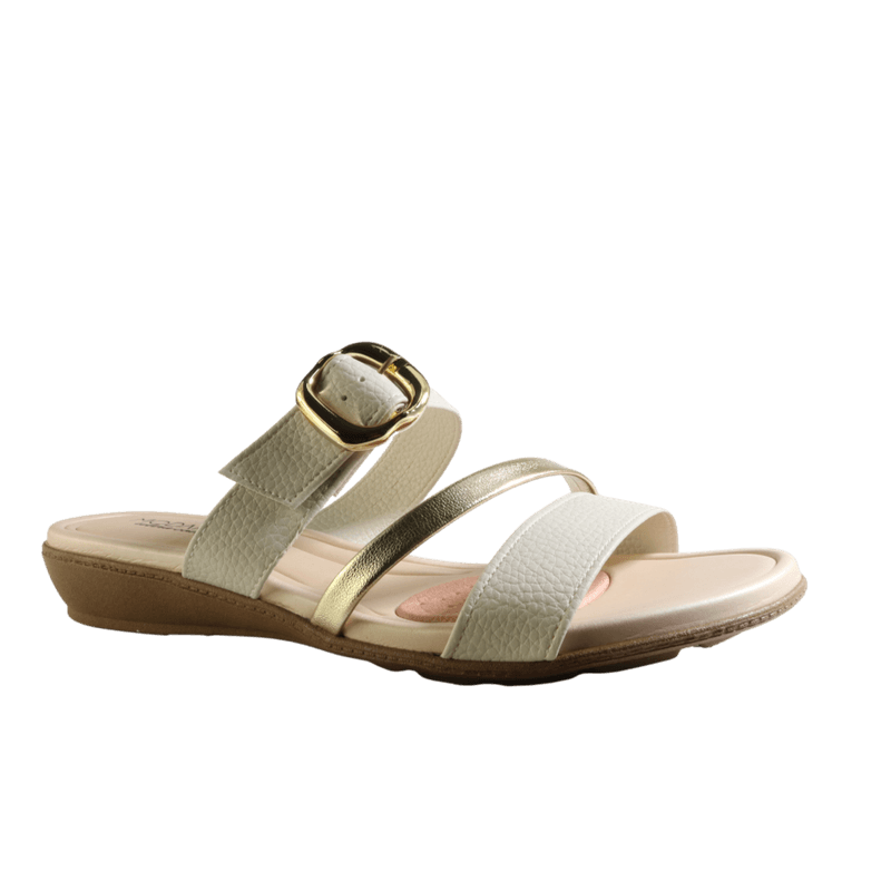 69899-1_clipped_rev_1.png