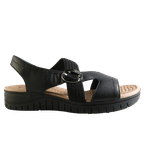 70511-2_clipped_rev_1.png
