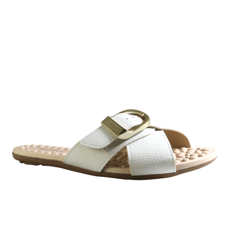 70961-1_clipped_rev_1.png