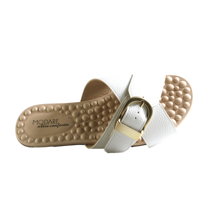 70961-2_clipped_rev_1.png