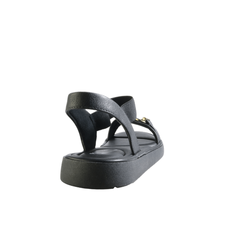 69879-4_clipped_rev_1.png