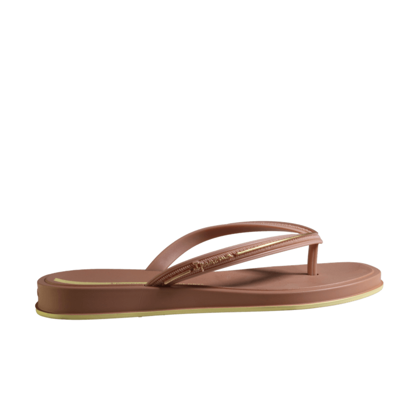 70196-3_clipped_rev_1.png