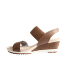 69909-3_clipped_rev_1.png